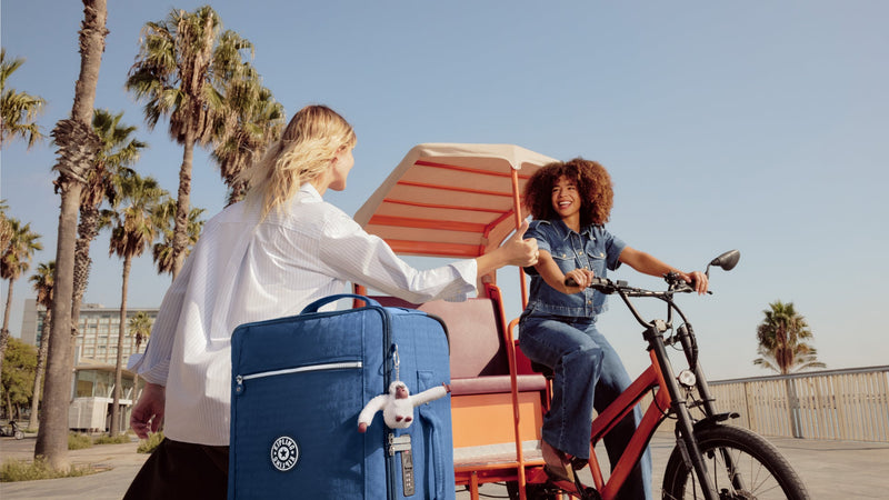 Travel bag and luggage guide
