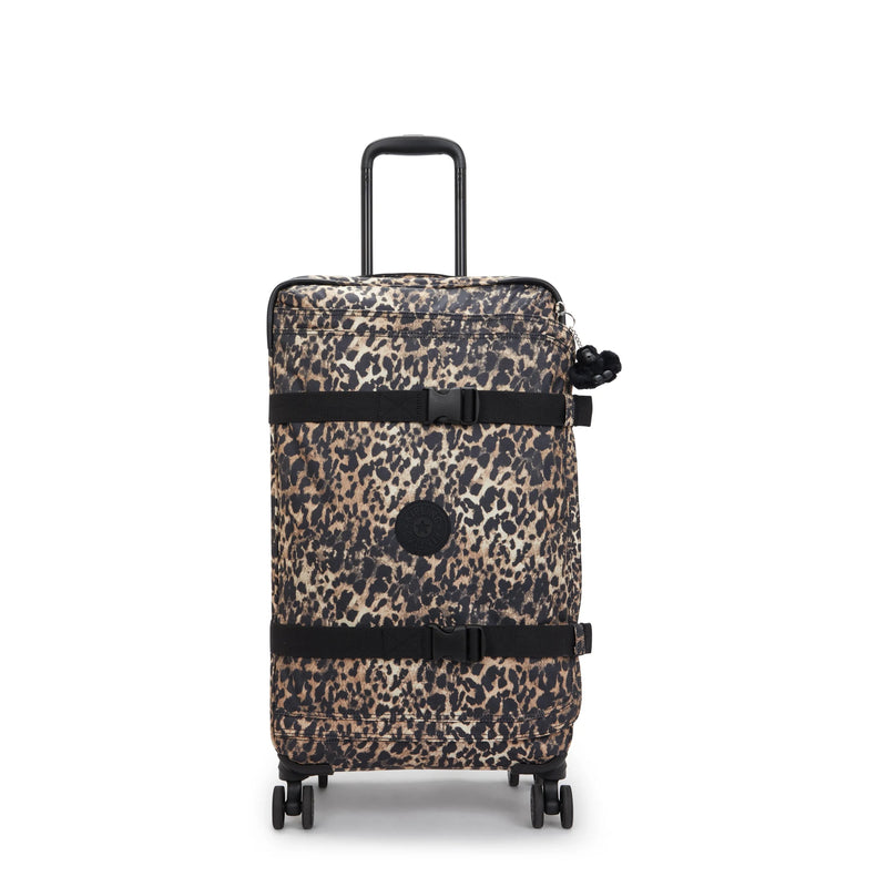 SPONTANEOUS M - Wild Leopard / Medium