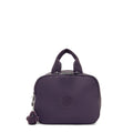 BEACHPALM S Darkest Berry - 1