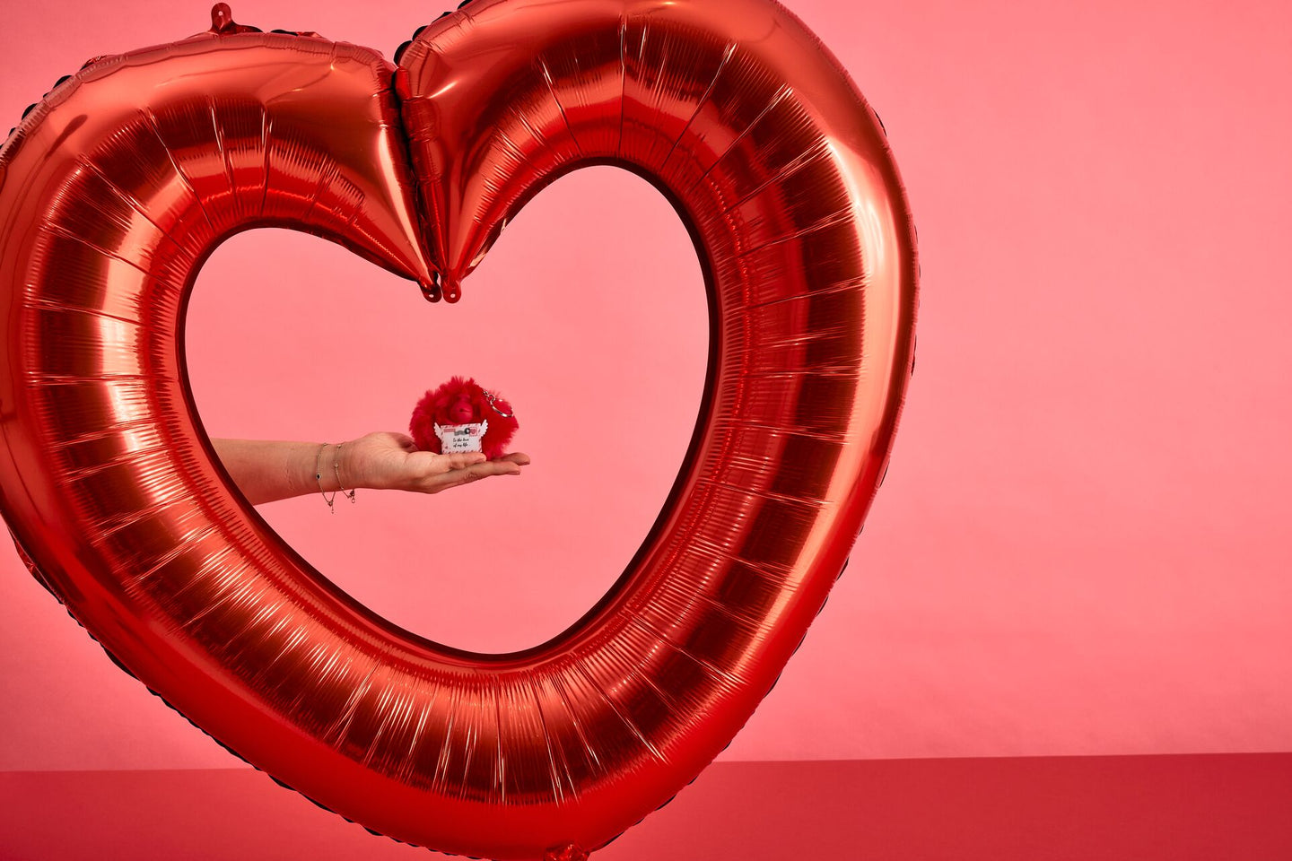 Valentine Day Kipling Monkey