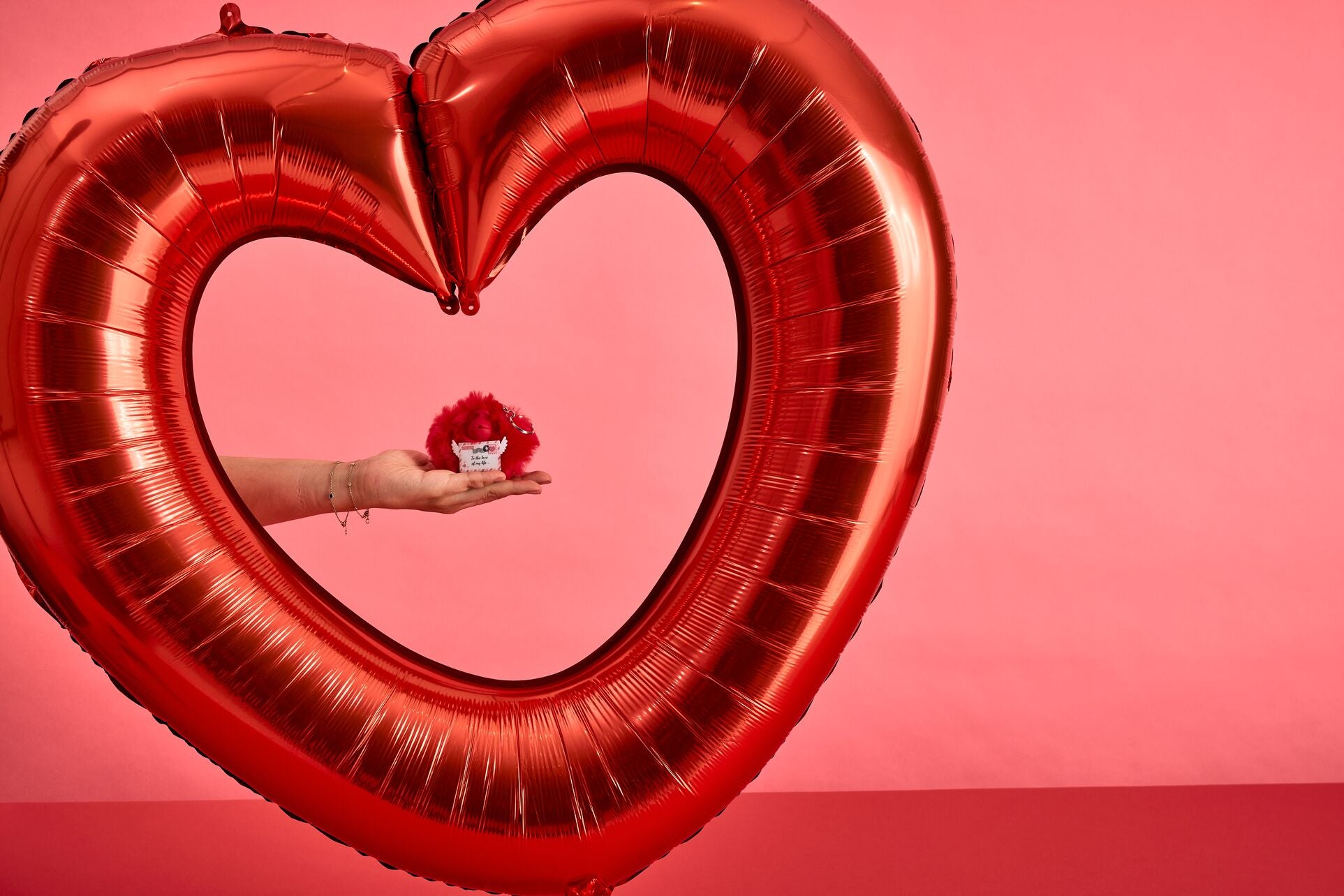 Valentine Day Kipling Monkey